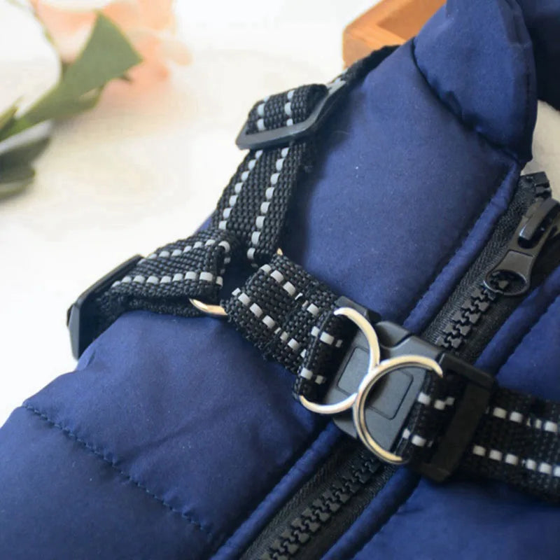 Hundjacka med sele – vinter & regn