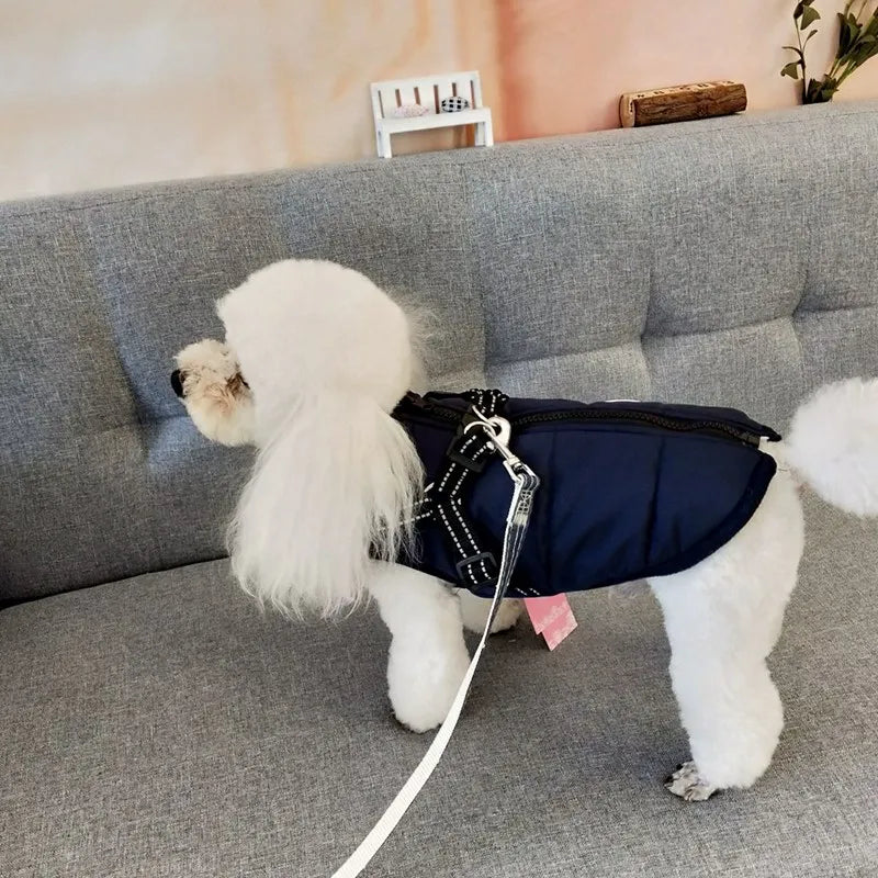Hundjacka med sele – vinter & regn