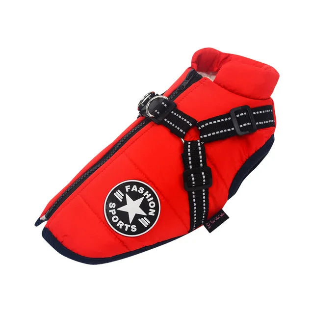 Hundjacka med sele – vinter & regn