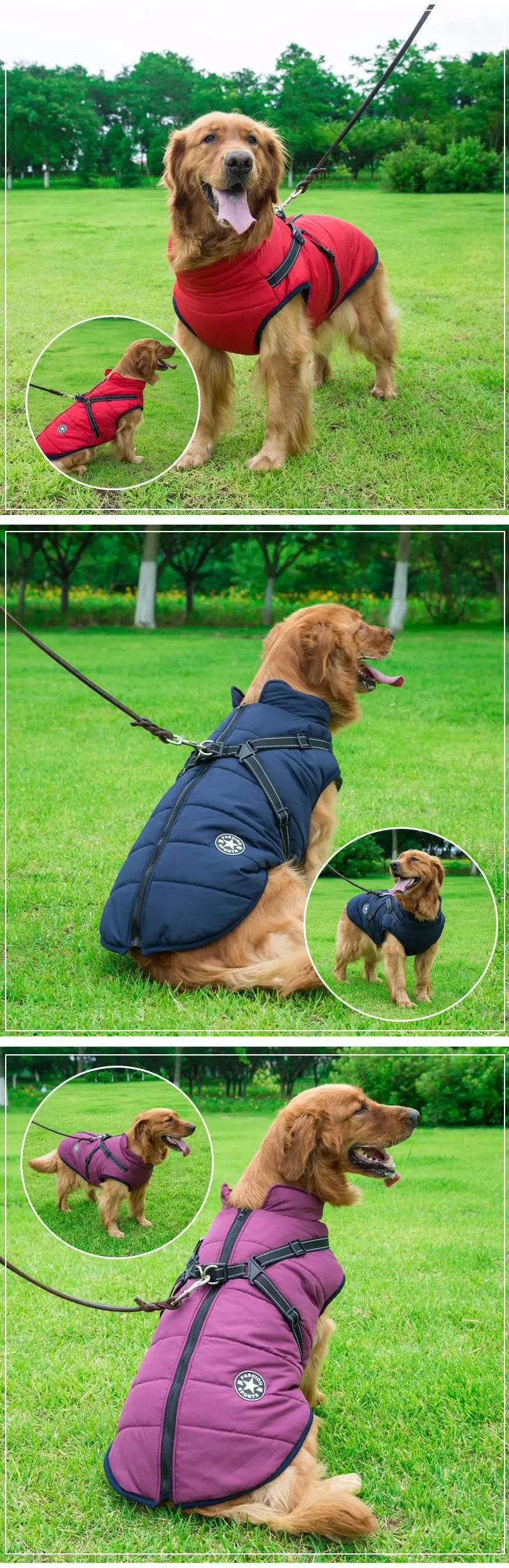 Hundjacka med sele – vinter & regn