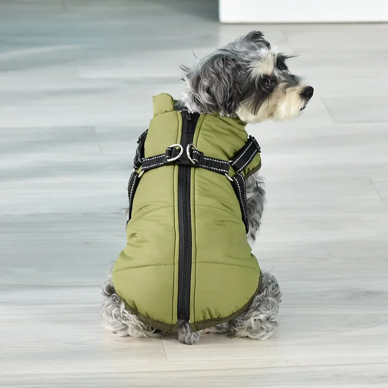 Hundjacka med sele – vinter & regn