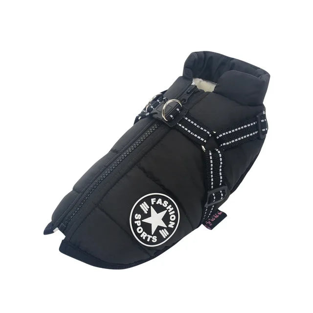 Hundjacka med sele – vinter & regn