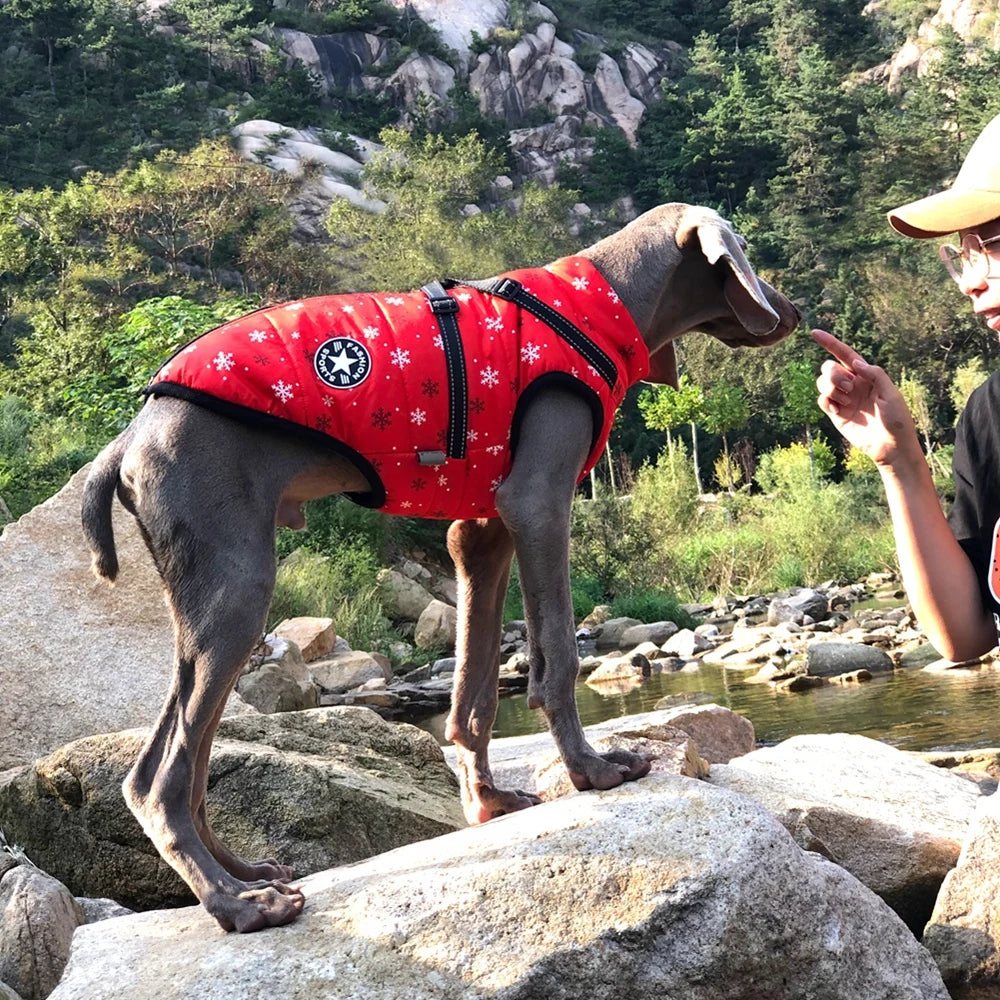 Hundjacka med sele – vinter & regn