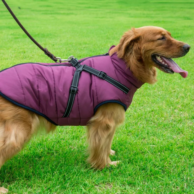 Hundjacka med sele – vinter & regn