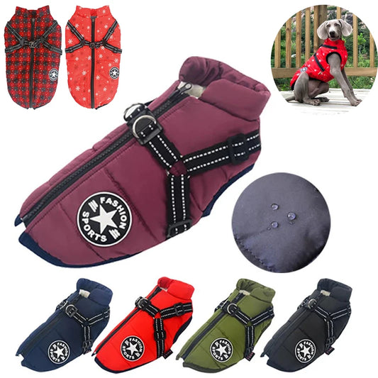 Hundjacka med sele – vinter & regn