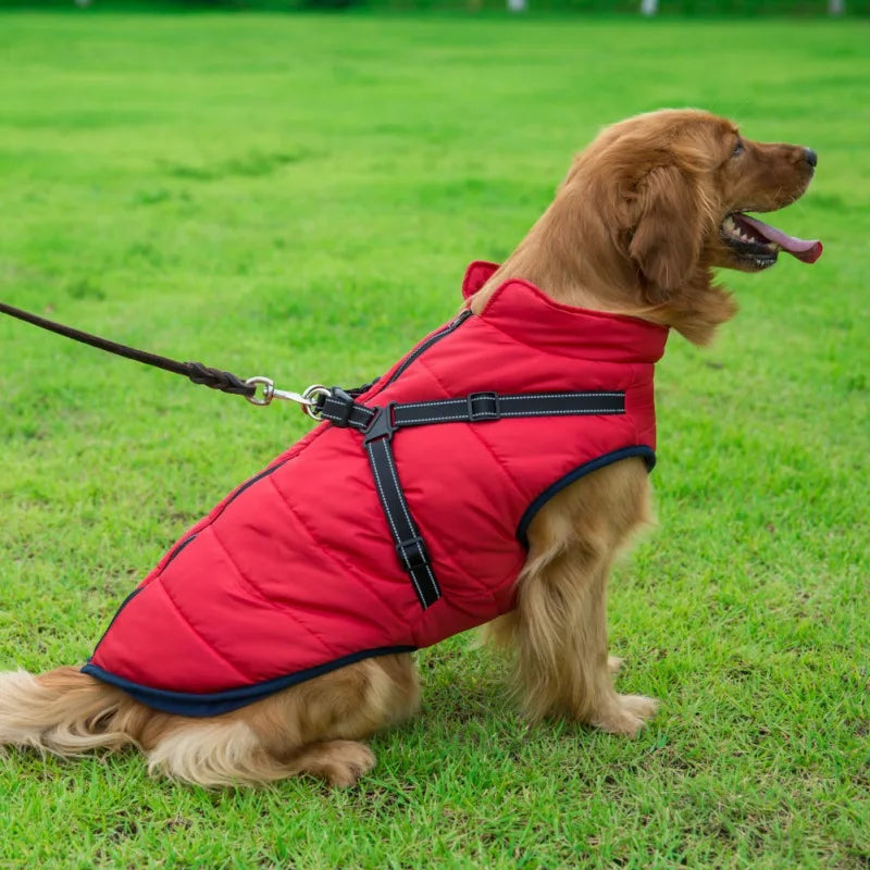 Hundjacka med sele – vinter & regn