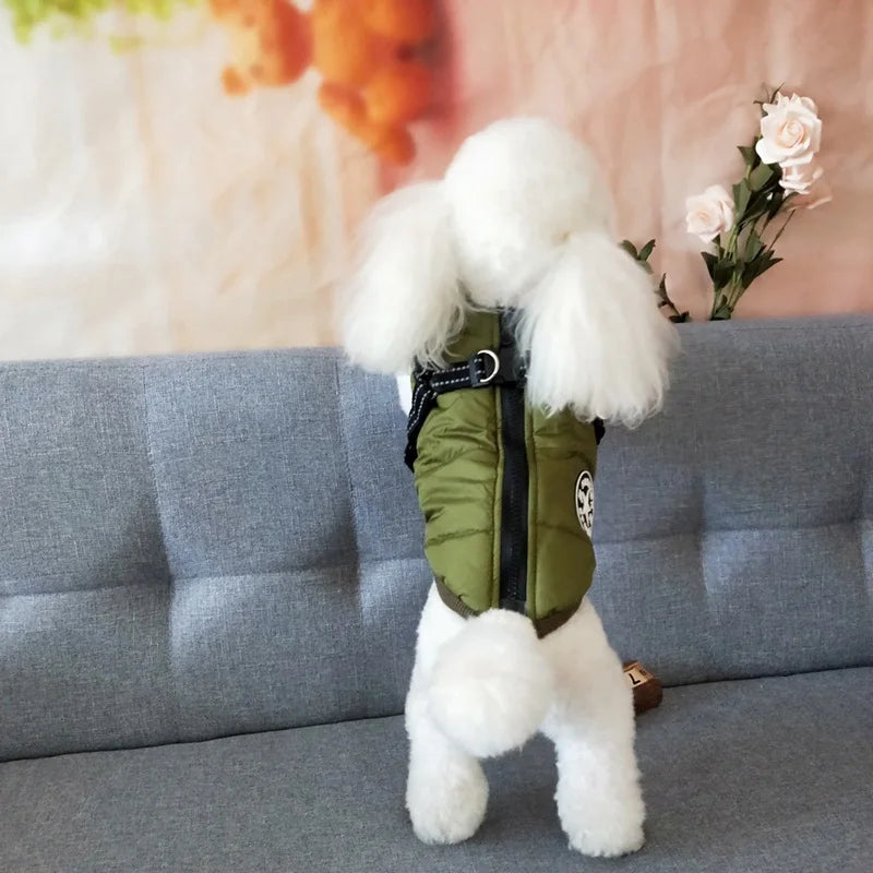 Hundjacka med sele – vinter & regn